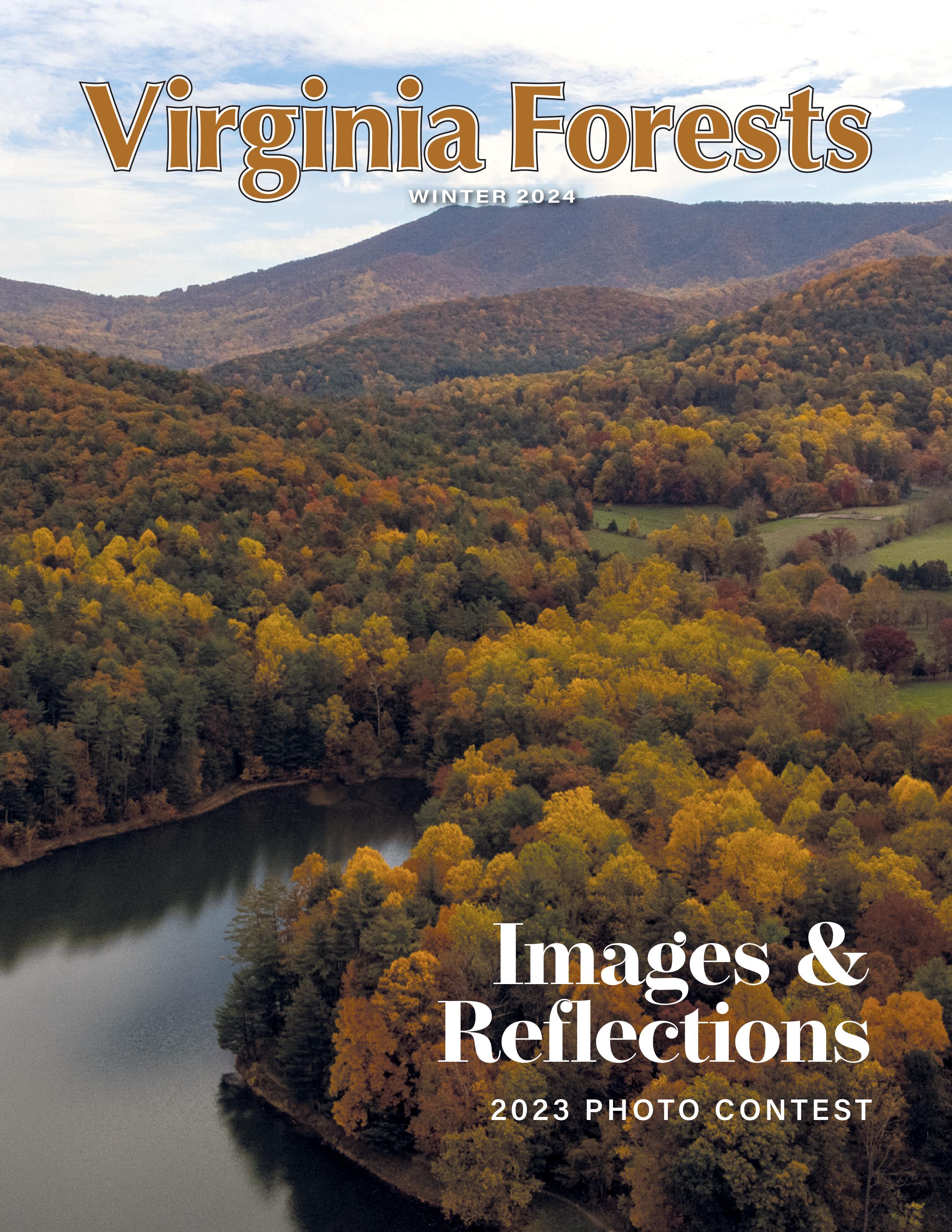Virginia Forests Magazine